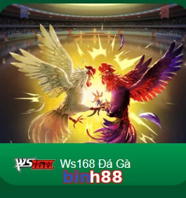 binh88